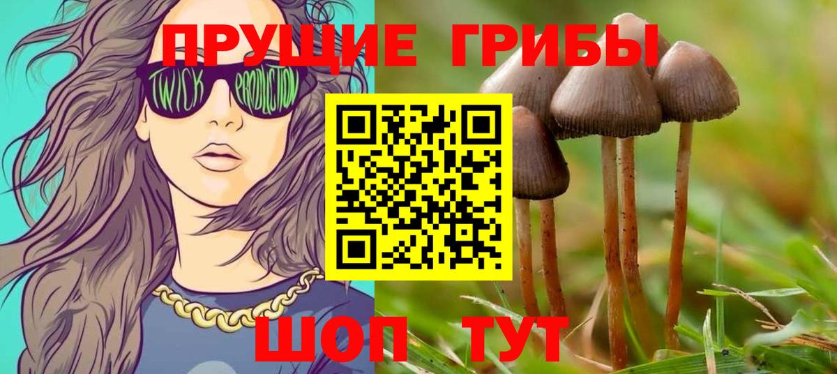 Сафоново  Псилоцибиновые грибы GOLDEN TEACHER  Вход с VPN 